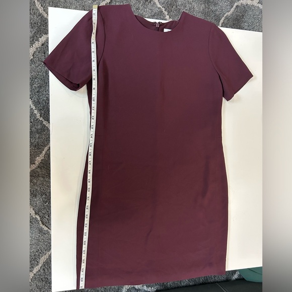 Babaton Patricio Dress Aritzia - Picture 8 of 8